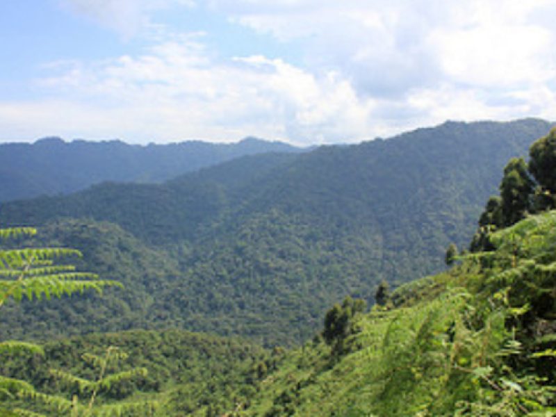 Scenic capture landscape
